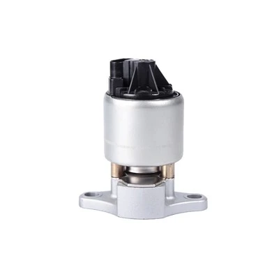 17099322 Zawór EGR oleju napędowego do CHEVROLET BorgWarner:EGR1282